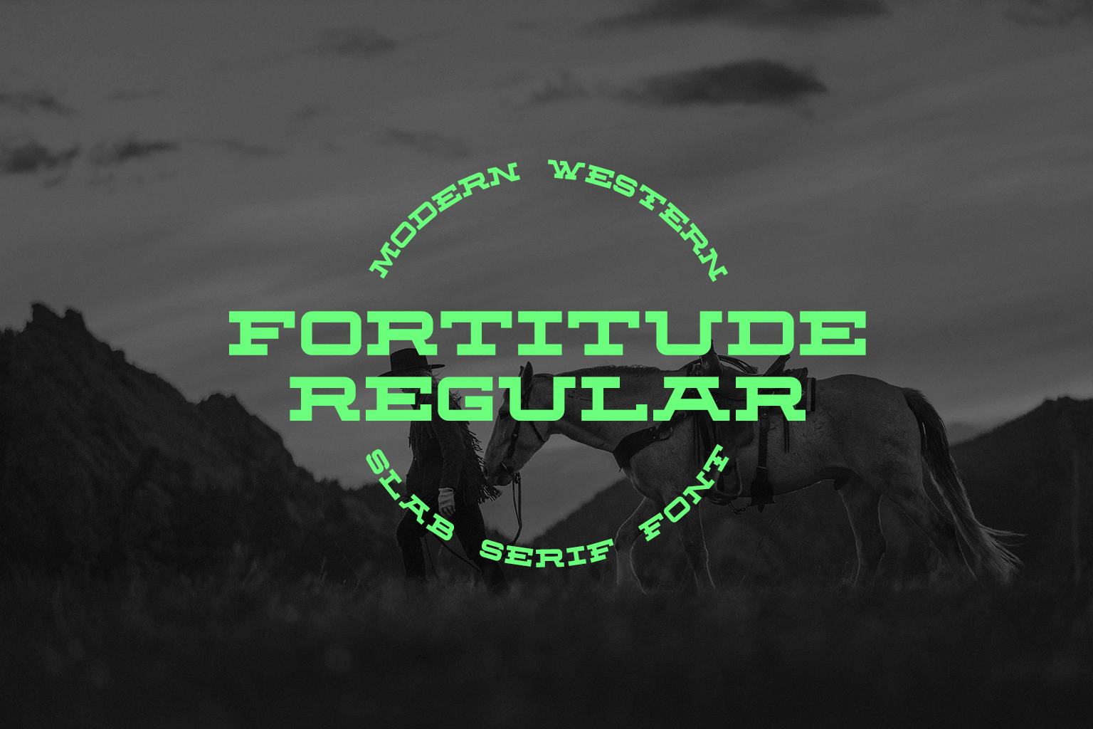 Fortitude Regular