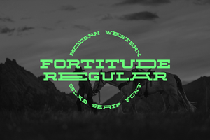Fortitude Modern Variable Slab Serif by Out of Step Font Company