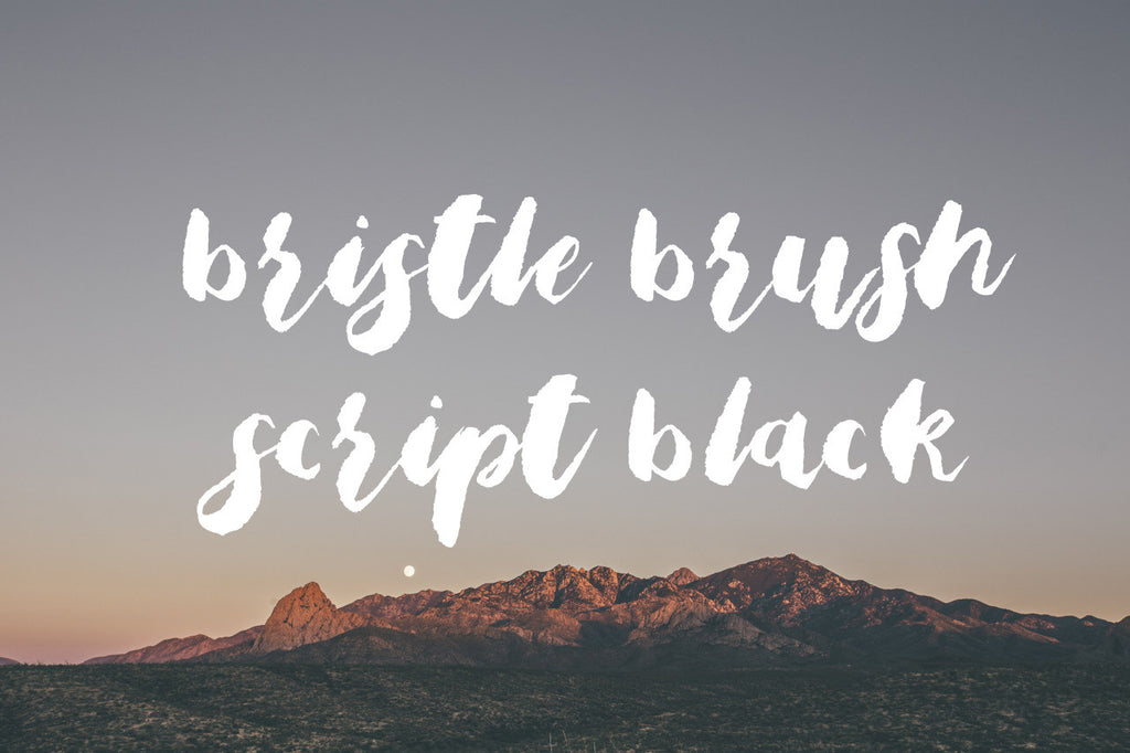 Bristle Brush Script Black modern calligraphy handwriting font by Out of Step Font Company - outofstepfontco.com