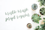 Bristle Brush Script Regular modern calligraphy handwriting font by Out of Step Font Company - outofstepfontco.com