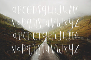 Playful Script Regular hand-written modern calligraphy font by Out of Step Font Company - outofstepfontco.com